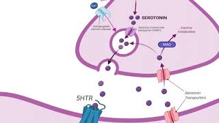 Serotonin Module [upl. by Singer]