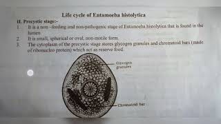 ENTAMOEBA HISTOLYTICA  NOTES   INTER 1ST YEAR  BY PHANINDRA GUPTA [upl. by Aziar]