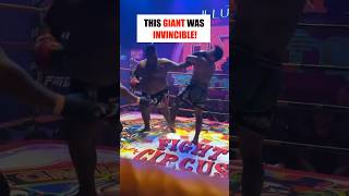 Crazy Giant Destroys His Opponents [upl. by Ocsinarf]