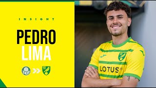 INSIGHT What can Norwich City fans expect from Pedro Lima  The Pink Un [upl. by Christel]