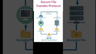 SFTP vs FTPS [upl. by Olram81]