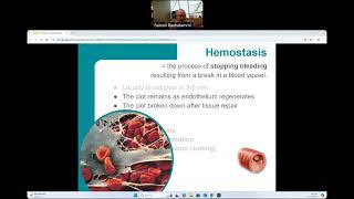 CG  BIO160  Hemostasis [upl. by Shear]