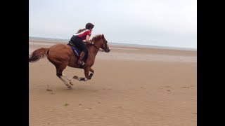 GALLOPING ON THE BEACH [upl. by Lohcin657]