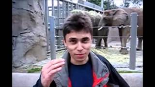 First YouTube Video  Me at the zoo By Jawed Karim  YouTube CoFounder [upl. by Aicitel695]