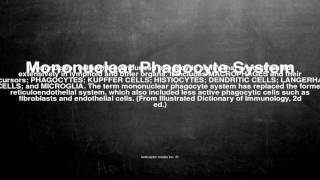 Medical vocabulary What does Mononuclear Phagocyte System mean [upl. by Gnek181]