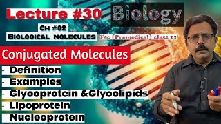 Conjugated molecules  Glycoprotein amp Glycolipids  Lipoprotein Nucleoprotein  Biology class 11 [upl. by Enileve]