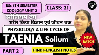 Physiology amp Life Cycle of Taenia SoliumCtenophora to NemathalminthesBSc 5th Semester ZOOLOGY [upl. by Oilenroc]