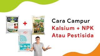 Kalsium Campur NPK dan Pestisida Perbedaan Kalsium Karbonat dan Kalsium Ionik [upl. by Ynnelg]