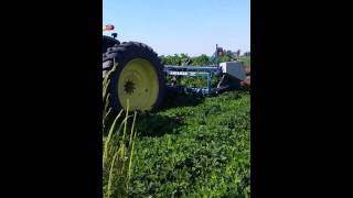 Amadas peanut harvester in Dunklin Co Mo [upl. by Scheld]