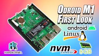 Odroid M1 HandsOn First Look An AllNew ARM Based Single Board Computer [upl. by Gastineau313]