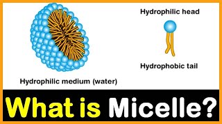 What is Micelle  Hindi  Dr Priyank Singhvi [upl. by Elayor279]