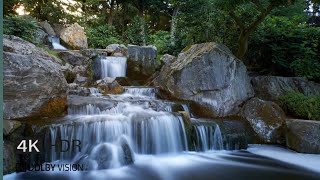 4K NATURES VIDEO  HDR 60FPS ANIMALS WATER AND NATURES VIDEO [upl. by Eemak]