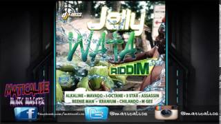 Jelly Wata Riddim Mix Dj Frass Records Dancehall Maticalise [upl. by Anivlis]