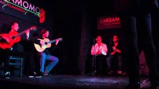 Flamenco from Madrid Tablao Cardamomo [upl. by Baugh]