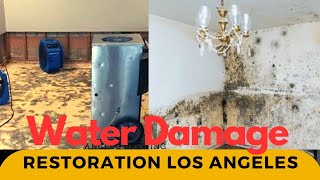 Water damage restoration los Angeles [upl. by Giwdul412]