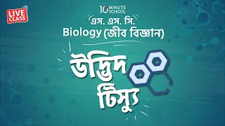 উদ্ভিদ টিস‍্যু Plant Tissue  Biology জীববিজ্ঞান  Sabiha Tasnim Nishy [upl. by Harrietta]