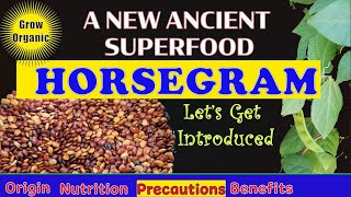 ANCIENT SUPERFOOD Horsegram  Health Benefits  Macrotyloma Uniforum  Precautions  Nutrition [upl. by Ahseid]