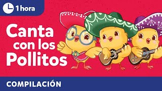 Sing with Los Pollitos  Bilingual Kids Songs in Spanish amp English  Cultural Traditions [upl. by Alemrac]