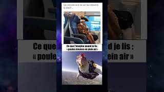 La poule 😭😭 mdr memes viralvideo pourtoi drole humour [upl. by Lleze]