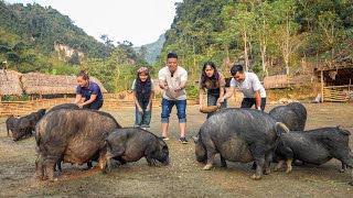 Worlds First Discovery Vlog To Visit Ly Thi Ca Farm amp Residence [upl. by Woods]