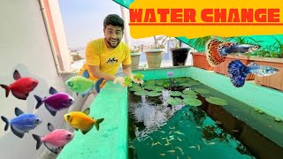 Finally fish pond ka water change ho gya 😃fishpetsvlog [upl. by Bird]