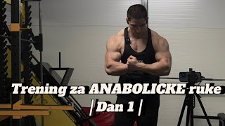 Dan 1  Trening za ANABOLICKE ruke [upl. by Losiram]