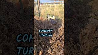 Relentless compost turners whether I want the help or not [upl. by Sehguh]