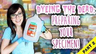 Dyeing The Dead  EP 3 Preparing Your Specimen Part 2 [upl. by Rick]