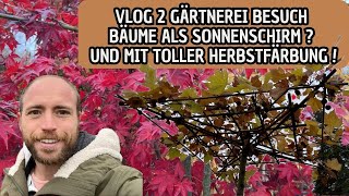 VLOG 2 Gärtnerei Besuch  Dachgezogene Bäume und tolle Herbstfärbung [upl. by Rahal]