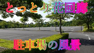 梅雨前の清々しい日 6月11日 火曜 晴れ 木陰の散策 とっとり花回廊 駐車場の風景 日本 鳥取県西伯郡南部町鶴田 野の花 WalkingYoshi [upl. by Frederique]