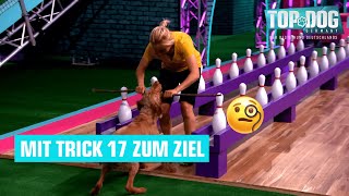 Bestzeit für Jule amp Kalle 🐶  Top Dog Germany 2022 [upl. by Aerol]