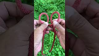 Puzzle rope knot puzzle magic shorts [upl. by Anifled]