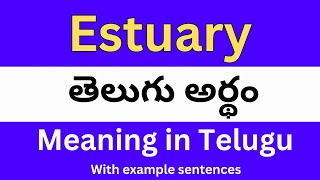 Estuary meaning in telugu with examples  Estuary తెలుగు లో అర్థం Meaning in Telugu [upl. by Lienhard]