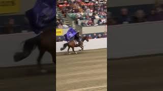 Victory gallop at the equine affaire horse equestrianvibes horseriding equestrian [upl. by Notnef]