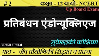 प्रतिबंधन एन्डोन्यूक्लिएज।। सुकेन्द्रकिय कोशिका। Restriction Endonuclease Enzyme। SudheerSirJi [upl. by Yntirb]