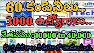 Kakinada Visaka job Mela  3000 Jobs Opening Compans  2022 Mega Job Mela in Kakinada [upl. by Hacker17]