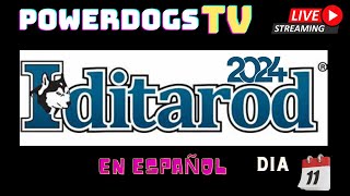 Powerdogs Tv Iditarod 2024 Resumen día 12 [upl. by Obadias]