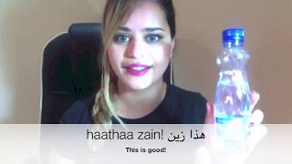 learning kuwait Arabic language beginners [upl. by Okime849]