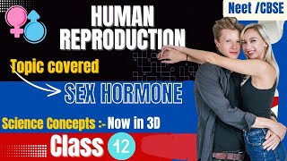 Human Reproduction  Class 12th biology Neet cbse ncert Complete Explanation [upl. by Ettelimay620]