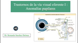 Trastornos de la Vía Visual Eferente I Anomalías Pupilares [upl. by Nella]