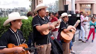 Huapangos por Eco Potosino  El Querreque El Caimán El Gusto El Aguanieve La Petenera y La Leva [upl. by Aivonas]