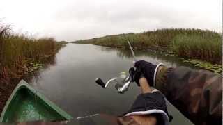 GoPro HDPesca al Luccio Delta del Danubio [upl. by Ahsinyt]