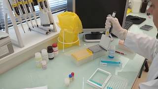 IDvet tutorial How to perform an ELISA test protocol for poultry testing [upl. by Enrahs]