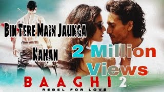 Bin Tere Main Jaunga Kanha  Baaghi 2 Song  Ash Vblog [upl. by Linc]