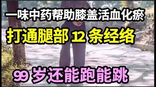 膝盖老化走路痛？一味中药帮助膝盖活血化瘀，打通腿部12条经络，延长膝盖寿命，99岁还能跑能跳【本草养生大智慧】 [upl. by Jolynn]