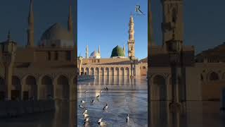 Seyyed abdul wasi qadri razvi naat shorts new viralvideo [upl. by Corkhill]