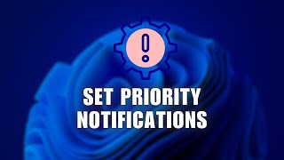 How to Set Priority Notifications  Windows 11 [upl. by Faustus]