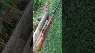 Glenfield Marlin Model 60 22longrifle [upl. by Potash]