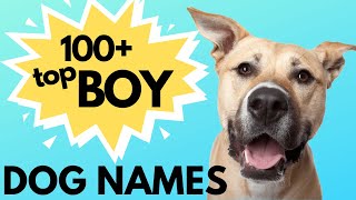 Top 100 Unique MALE Dog Names– Unusual Male Dog Names [upl. by Dex527]