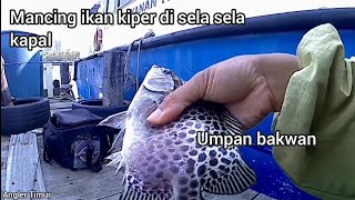 Mancing ikan kiper di samping Kapal Besar [upl. by Burnaby454]